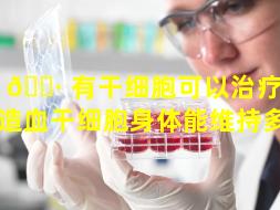 没 🌷 有干细胞可以治疗吗（没有造血干细胞身体能维持多久）